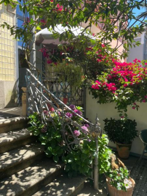Vila Camélia